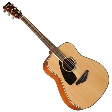 Acoustic Guitar FG820